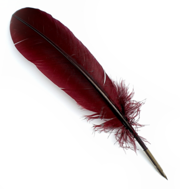 Pióro-do-kaligrafii-Manuscript-Quill-Pen-bordowe-plastyczni