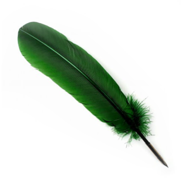 Pióro-do-kaligrafii-Manuscript-Quill-Pen-zielone-plastyczni