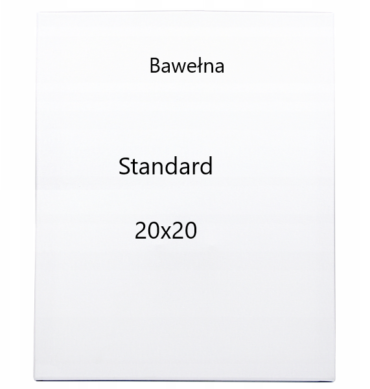 20-20-standard-Podobrazie-malarskie-bawełna-plastyczni